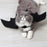 Halloween Pet Costume - Costume For Cats - Halloween Trendy Costumes