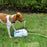 Outdoor Supplies Dog Water Feeder Intellectual Toys - essentialdailypicks